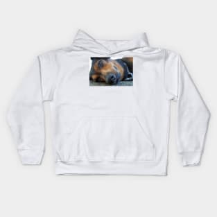 closeup of a sleeping dog Kids Hoodie